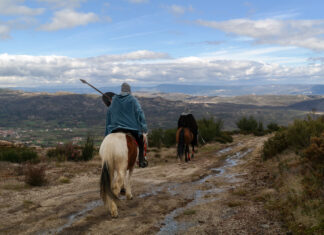TVAP Ancient Roads Route