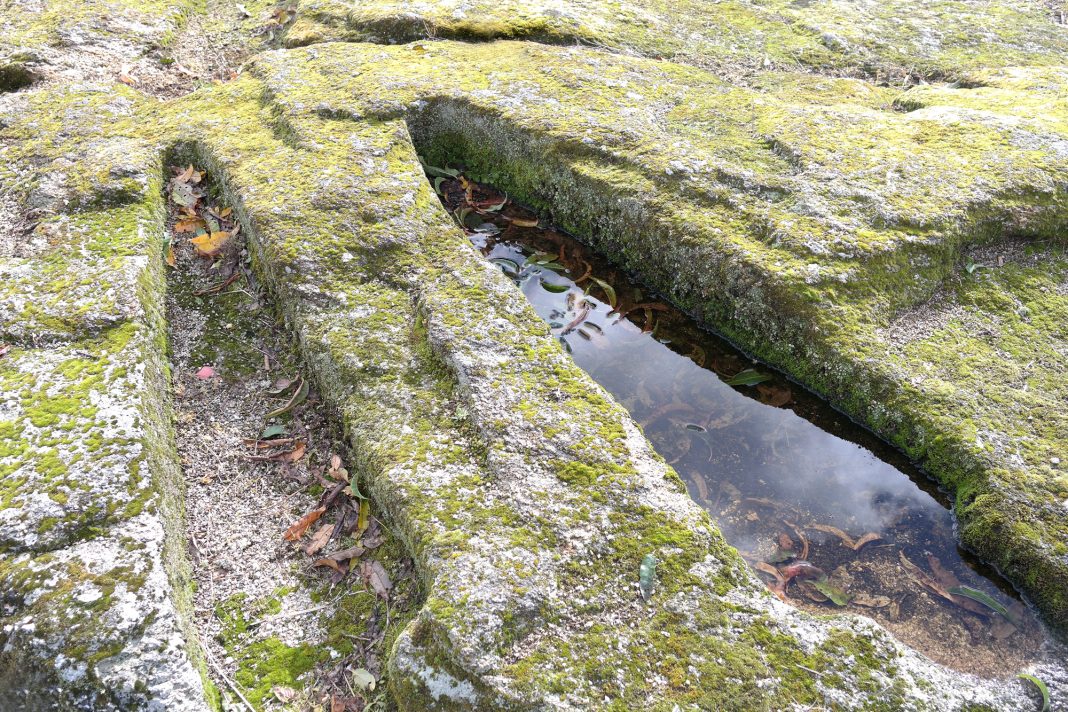 necropole-de-passaros