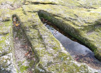 Necrópole de Pássaros necropole-de-passaros