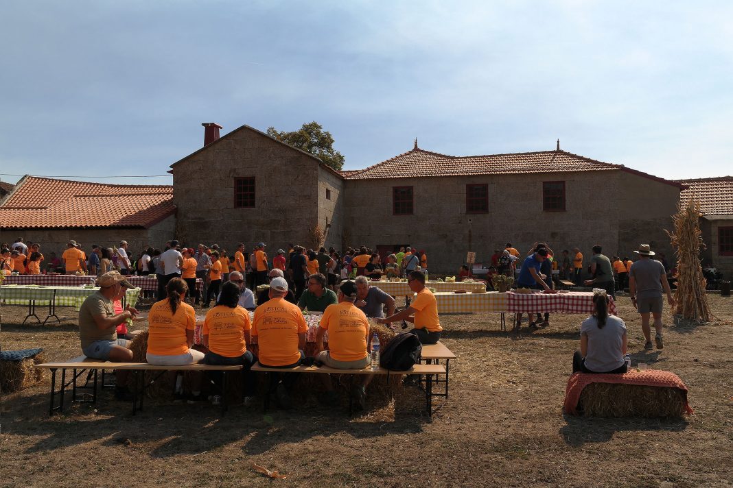 SAM_0671 festa-das-colheitas-2