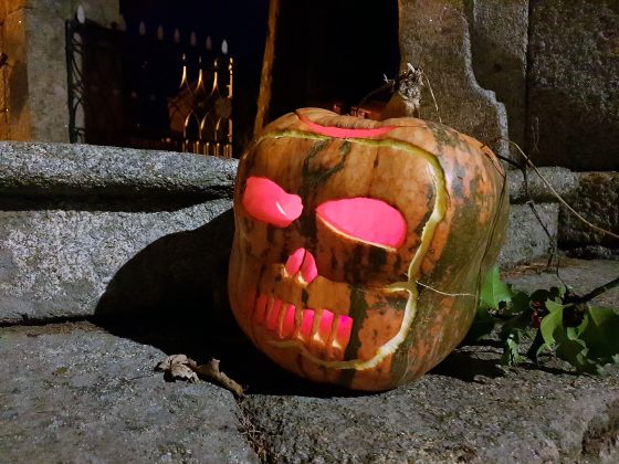 aboboras-invadem-escadaria-da-igreja-de-nossa-senhora-da-apresentação-de-beça