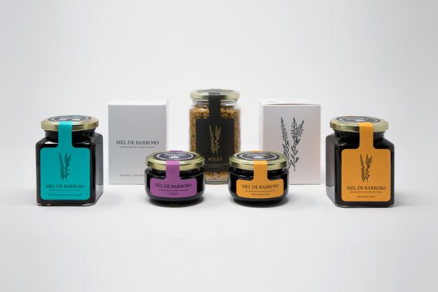 mel-de-barroso-renova-imagem