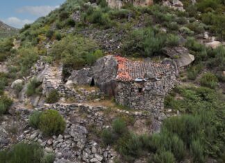 Castro do Muro de Cunhas
