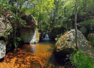 Fonte dos Amores in Carvalhelhos